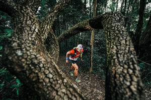 BIB: 
                            <button type="button" onclick="openModal(25389634)" class="btn btn-primary btn-sm float-right btn-popup" data-toggle="modal" data-target=".modal-high-quality">
                        <i class="fas fa-shopping-cart"></i> Add to Cart
                    </button>
                                            <button type="button" onclick="isThisMe(25389634, true)" class="btn btn-success btn-sm float-right btn-popup btn-isme hidden" data-toggle="tooltip" data-placement="bottom" title="นี่คือรูปของคุณใช่ไหม คลิกที่นี่เพื่อเอาเข้าอัลบั้ม">
                        <i class="fas fa-plus"></i> Add to album
                    </button>
                    <button type="button" onclick="isThisMe(25389634, false)" class="btn btn-warning btn-sm float-right btn-popup btn-isnotme hidden">
                        <i class="fas fa-ban"></i> Remove from album
                    </button>